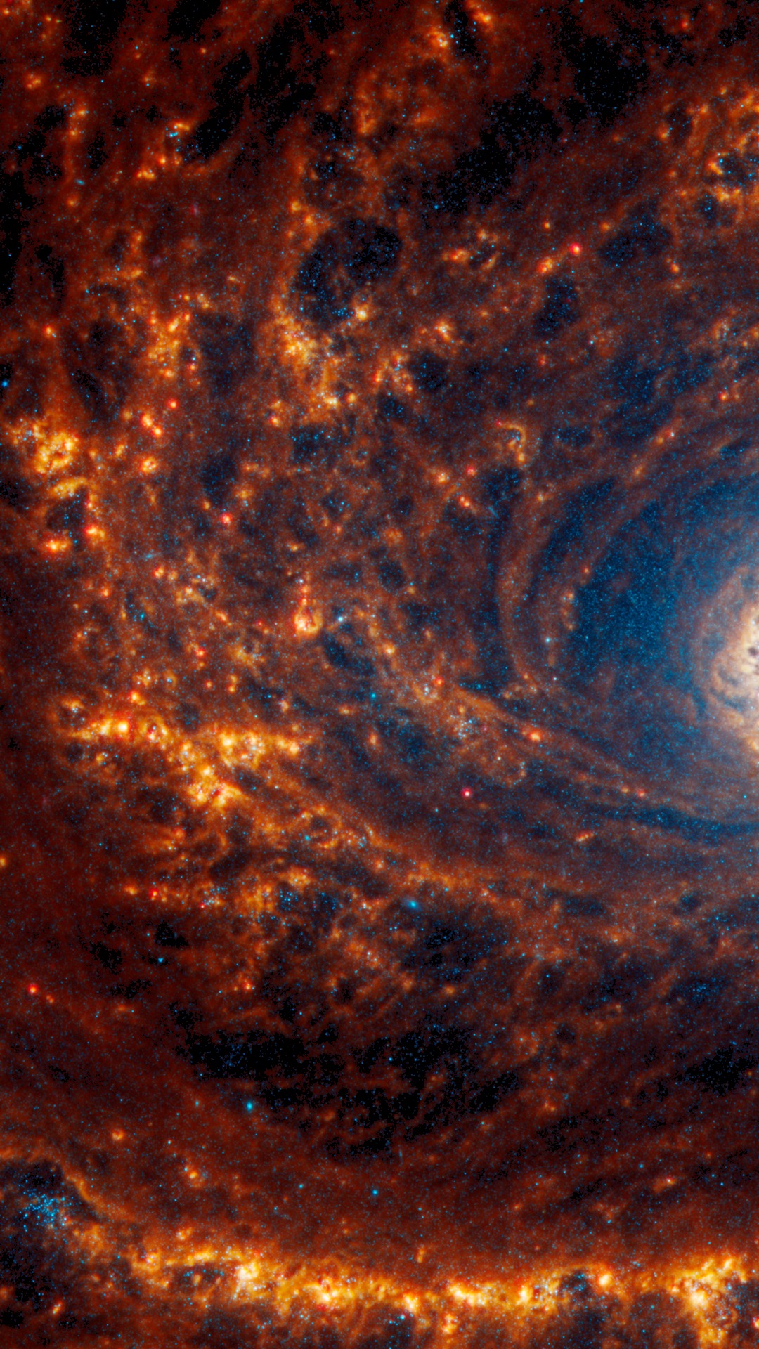 NGC 4321, M100 — AMOLED Optimised